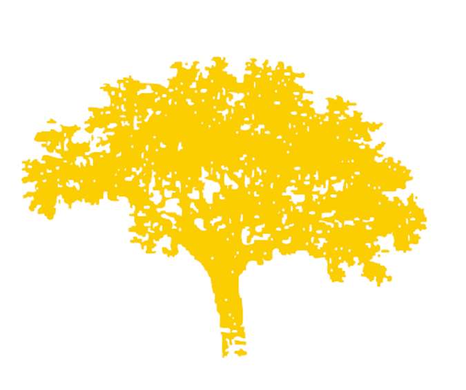 Logo roble amarillo.