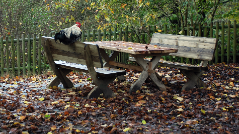 Al aire libre. Disfrutar al aire libre
