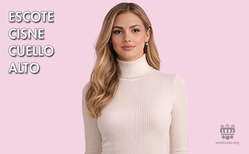 Icono Escote cisbe. Escote cuello alto Escote prenda de vestir femenina