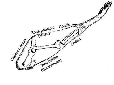 Partes de un jamón.