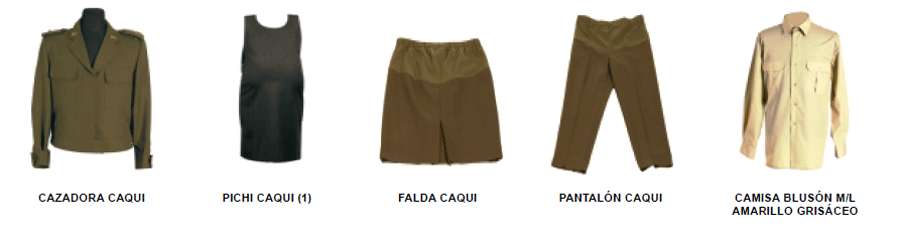 Uniforme de diario/trabajo del personal en estado de gestación. Uniforme de diario/trabajo del personal en estado de gestación. Prendas.