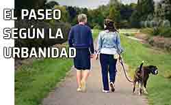 Las reglas del paseo y los cumplidos a los acompañantes