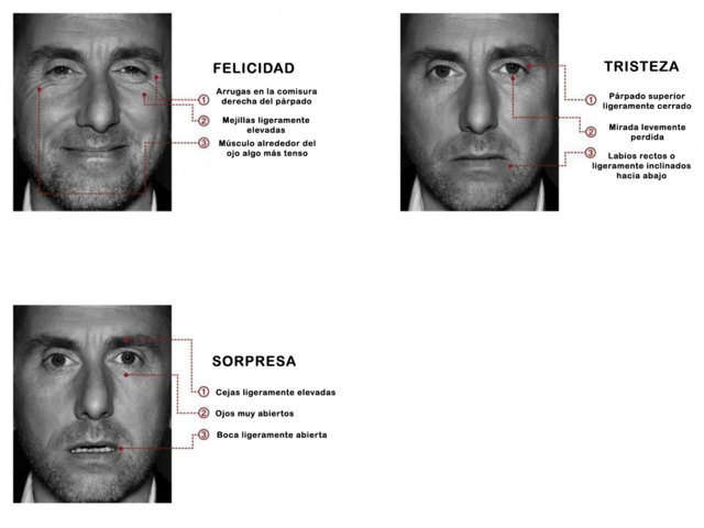 Expresiones faciales. Kinesia. Tim Roth. Lie to me.