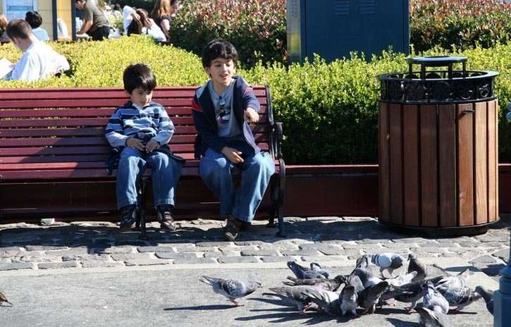 Críos dando de comer a unas palomas