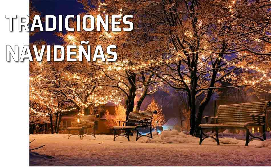 Parque nevado