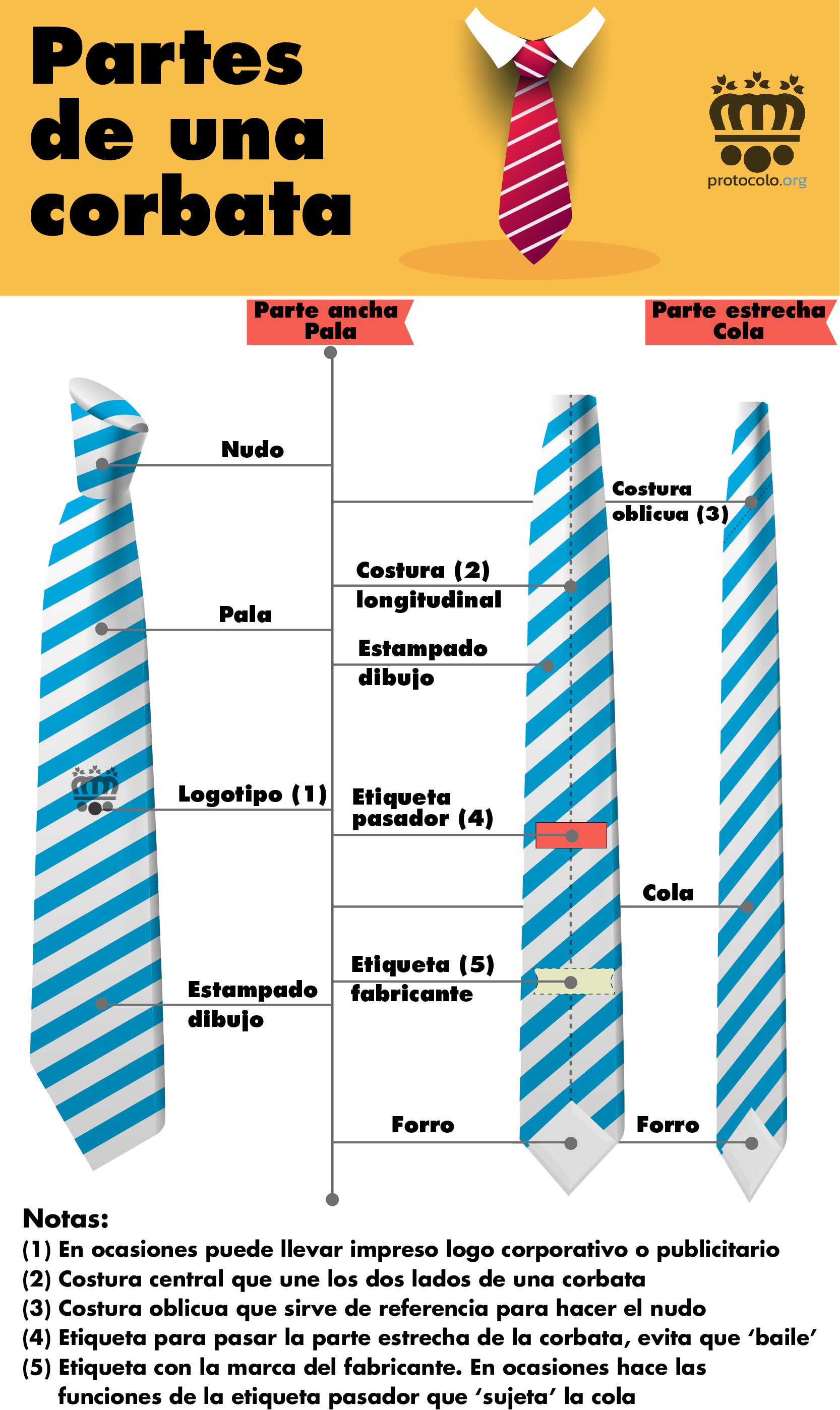 Partes una corbata con infografía