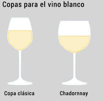 Copas para tomar un vino blanco