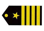 Insignia Coronel.