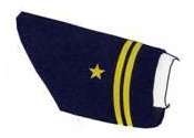Insignia manga Capitán.