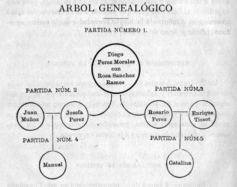 Arbol. Arbol genealógico.