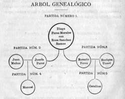 Arbol genealógico.