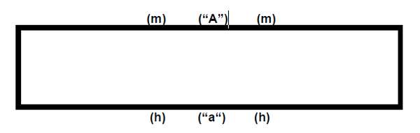 Esquema 3. Plano de mesa 3.