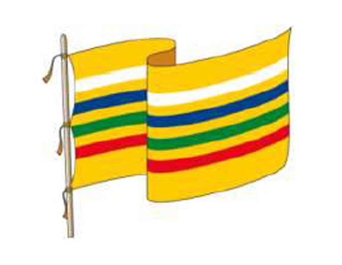 Bandera. Universidad Tecnológica Pereira.