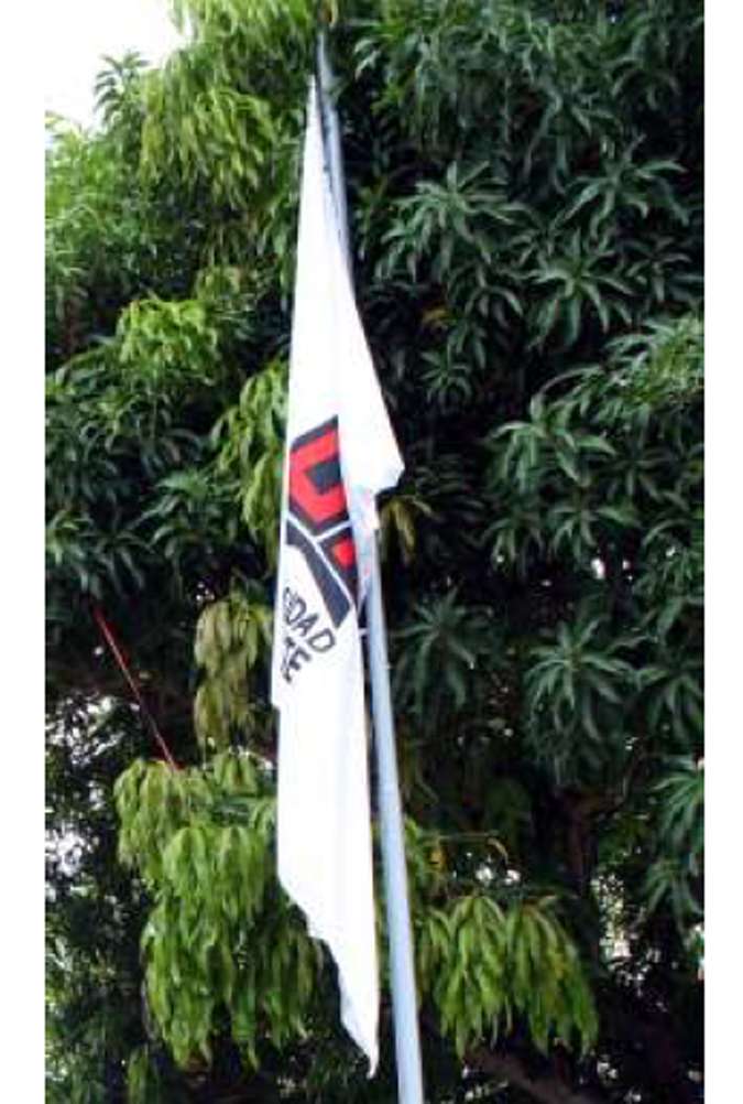 Bandera. Bandera Institucional.