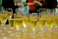 Copas de cava - champán