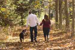 Cómo caminamos y qué dice nuestra forma de caminar. Un paseo por el bosque