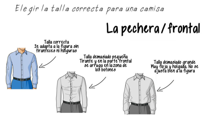 Pechera camisa - Talla correcta