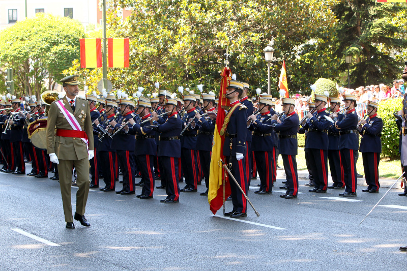 Actos día de las Fuerzas Armadas 2015