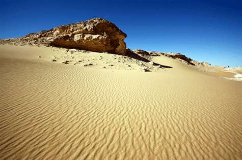 Desierto. Dunas del desierto.