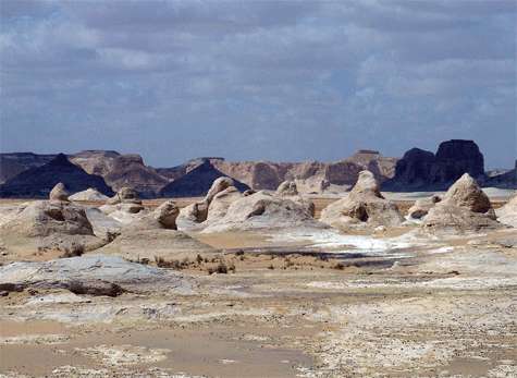Desierto montañoso. Desierto con montañas al fondo.