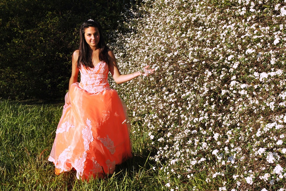 La fiesta de los quince años Invitados y su vestuario La fiesta de los quince años Invitados y su vestuario
