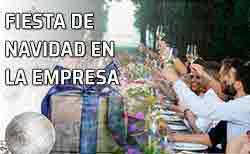 Amigos celebrando una fiesta de Navidad